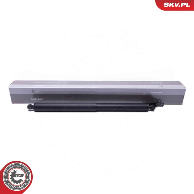 Elektrimootor, tagaluuk ESEN SKV 52SKV962