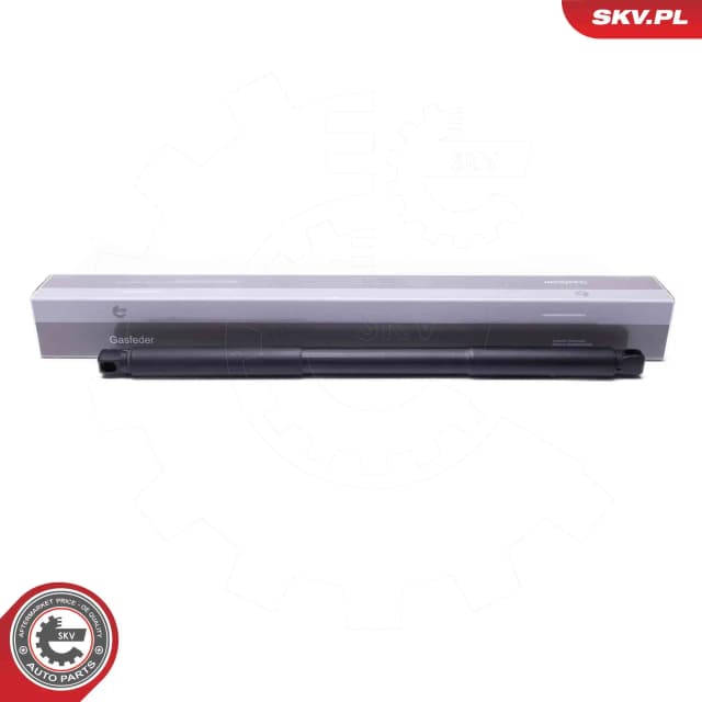 Elektrimootor, tagaluuk ESEN SKV 52SKV957