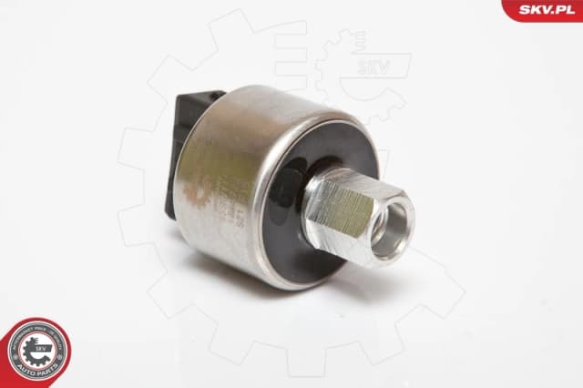 Survelüliti, kliimaseade ESEN SKV 95SKV111