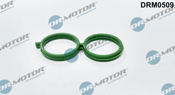 Gasket, Butterfly Valves - Õhu juurdevool Dr.Motor Automotive DRM0509