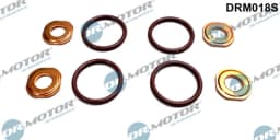 Tihendikomplekt, Sissepritsedüüs Dr.Motor Automotive DRM018S