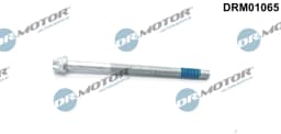 Kruvi, sissepritsedüüsi kinnitus Dr.Motor Automotive DRM01065
