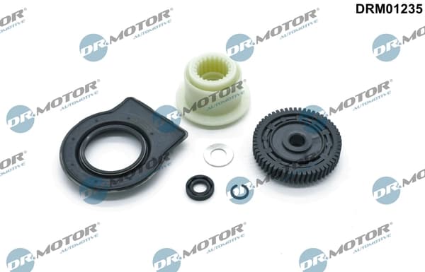 Remondikomplekt, käigukasti väljundvõll (ASG) Dr.Motor Automotive DRM01235