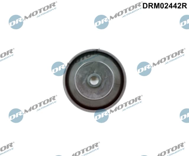 Klapp, õhu reguleerimine (sisenev õhk) Dr.Motor Automotive DRM02442R