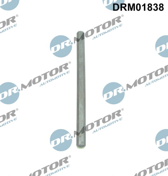 Veovõll, õlipump Dr.Motor Automotive DRM01838