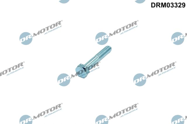 Kruvi, sissepritsedüüsi kinnitus Dr.Motor Automotive DRM03329