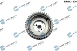 Nukkvõlliseadistaja Dr.Motor Automotive DRM01509