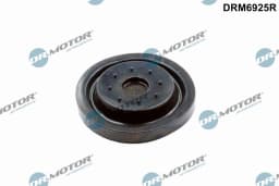 Remondikomplekt, karterituulutus Dr.Motor Automotive DRM6925R