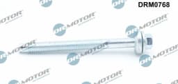Kruvi, sissepritsedüüsi kinnitus Dr.Motor Automotive DRM0768