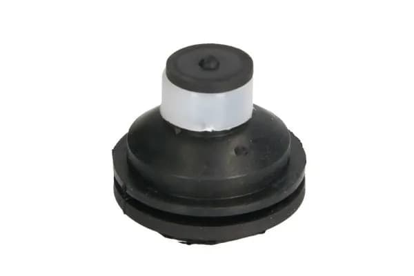 Paigutus, Mootor REINHOCH RH11-2109