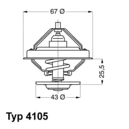 Termostaat, Jahutusvedelik BorgWarner (Wahler) 4105.71D