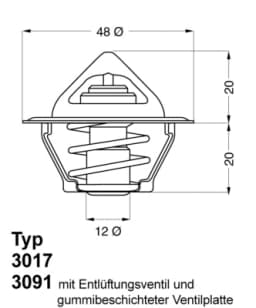 Termostaat, Jahutusvedelik BorgWarner (Wahler) 3017.92D2