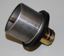 Termostaat, Jahutusvedelik BorgWarner (Wahler) 4619.82