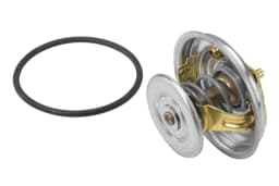 Termostaat, Jahutusvedelik BorgWarner (Wahler) 4078.65D