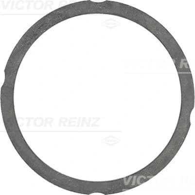 Tihend, silindripea VICTOR REINZ 61-25475-70