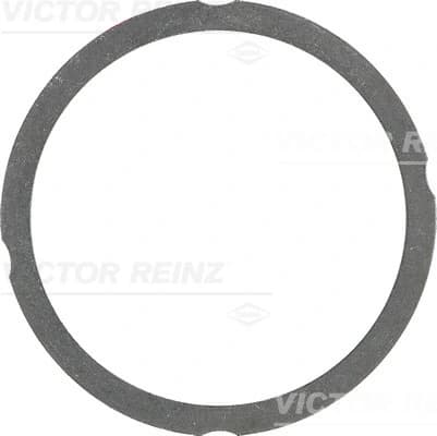 Tihend, silindripea VICTOR REINZ 61-25475-40