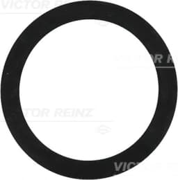 Rõngastihend VICTOR REINZ 40-77392-00