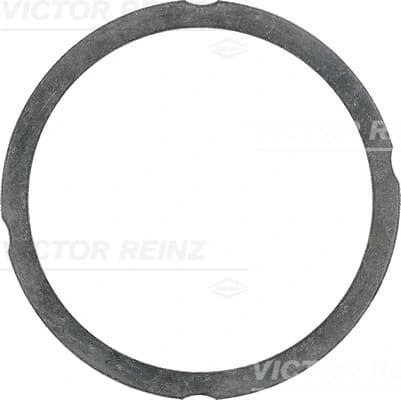 Tihend, silindripea VICTOR REINZ 61-25475-60