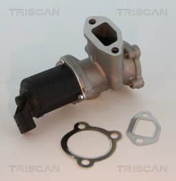 EGR-klapp TRISCAN 8813 10003